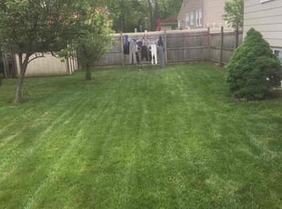 Crystal L.'s grass cutting service result