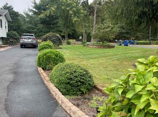 Md R.'s lawn care service result