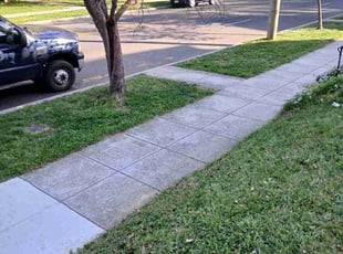 Jane W.'s lawn care service result
