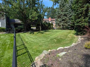 Stephanie M.'s grass cutting service result