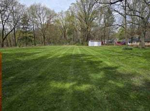 Jael J.'s turf maintenance service result