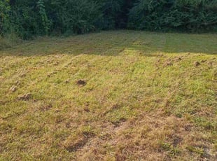 Tina J.'s lawn care services service result