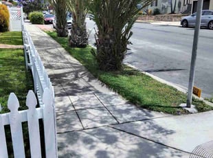 Cristella H.'s turf maintenance service result