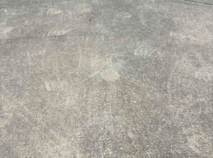Jon R.'s grass cutting service result