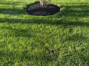 Catherine S.'s Other service result