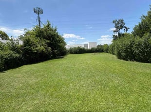 Shirley P.'s lawn care service result