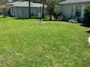Ally D.'s turf care service result