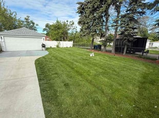 Courtenay L.'s turf maintenance service result