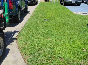 Ebonee C.'s turf care service result