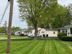 Jacqueline G.'s Flower Bed Weeding service result