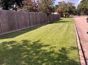 Trey C.'s turf maintenance service result