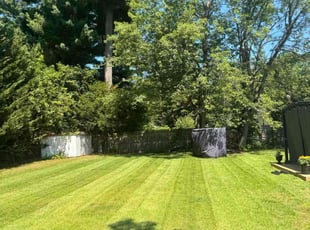 Jayson P.'s grass cutting service result