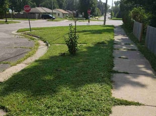 Karissa J.'s grass maintenance service result