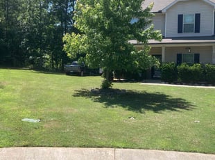 Anita A.'s lawn care service result