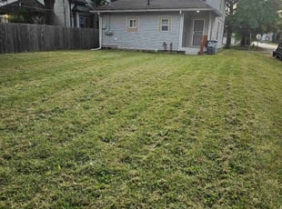 Keomany T.'s grass maintenance service result