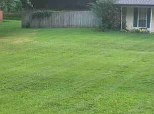 Joseph D.'s lawn care services service result