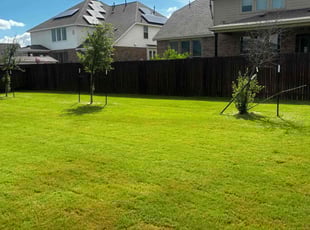 Roseanne R.'s lawn maintenance service result