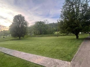 Linda C.'s turf maintenance service result