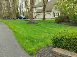 Brandon C.'s landscape maintenance service result
