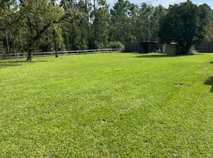 Jennifer R.'s grass maintenance service result