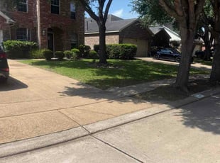 Rosalie B.'s turf care service result
