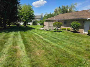 Miguel B.'s lawn care services service result