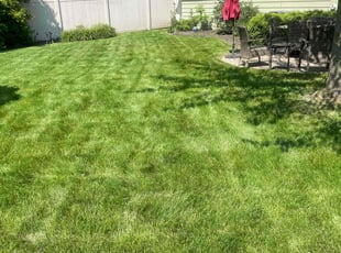 Jada D.'s lawn care services service result