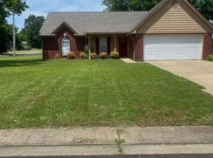 Becky D.'s turf care service result