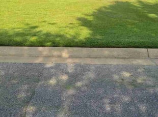 Colin S.'s grass maintenance service result