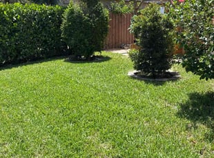 Nancy J.'s grass maintenance service result