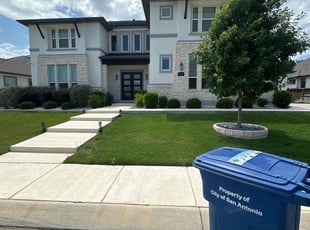 Al B.'s grass cutting service result