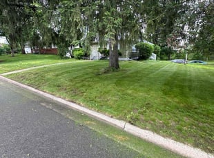 Tom M.'s lawn service service result