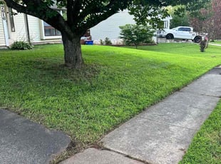 Judith C.'s lawn care service result