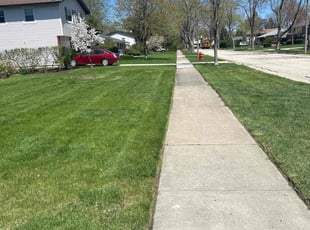 Tim M.'s lawn care services service result