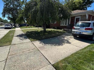 Nicolette D.'s grass maintenance service result