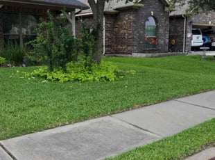 Jim B.'s lawn care service result