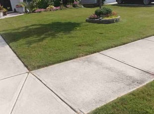 Nathan M.'s Bag Clippings service result