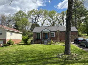 Jean F.'s lawn care service result