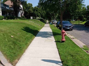 Brian C.'s lawn care service result