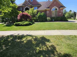 Jean O.'s grass cutting service result