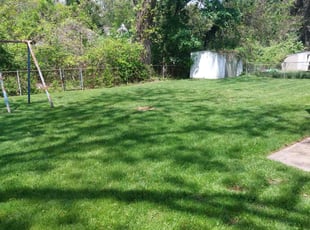 Sara M.'s grass maintenance service result