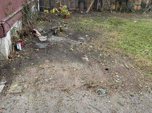 Vanessa P.'s Bush Trimming service result