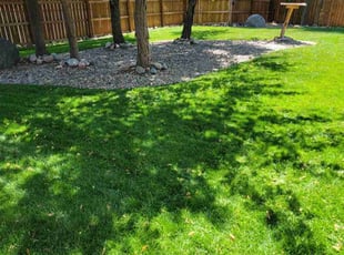 James Z.'s lawn service service result