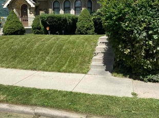 Robert J.'s lawn care services service result