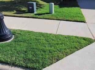 Norma R.'s turf maintenance service result
