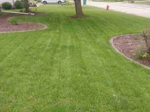 John M.'s lawn maintenance service result