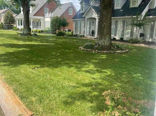 Albert A.'s lawn maintenance service result