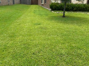 Frederick V.'s turf maintenance service result
