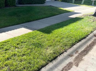 Donna P.'s turf care service result