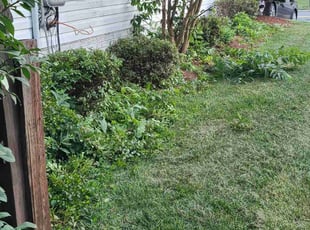 Kyle H.'s Bush Trimming service result